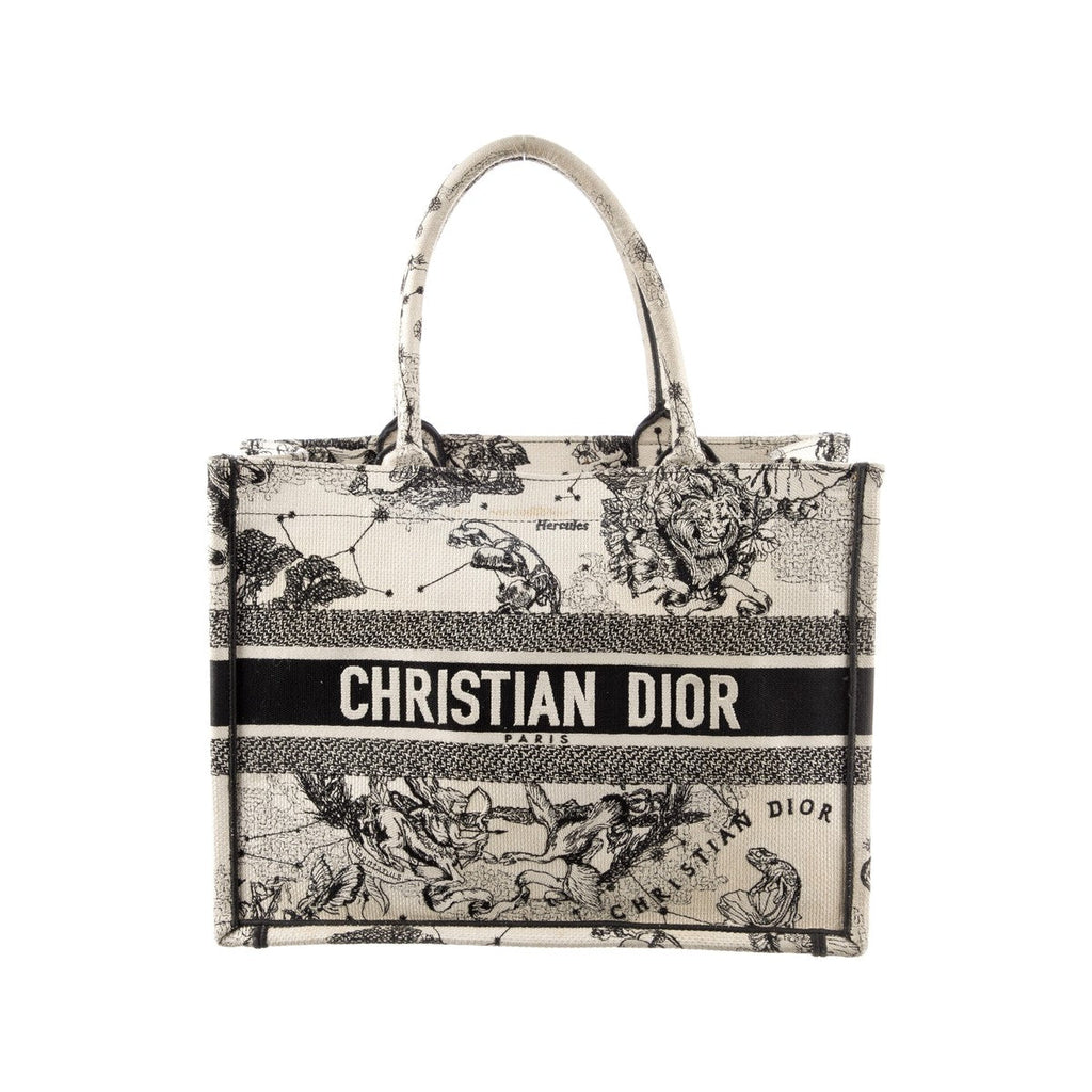 Dior Book Tote — Blue Dior Oblique
